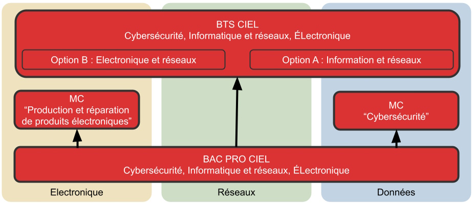 Poursuite étude TNE